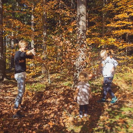 Drewniana Roza Domki Karkonosze Piechowice  Exteriér fotografie