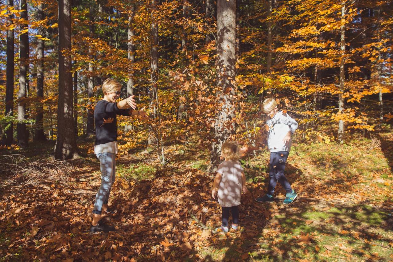 Drewniana Roza Domki Karkonosze Piechowice  Exteriér fotografie