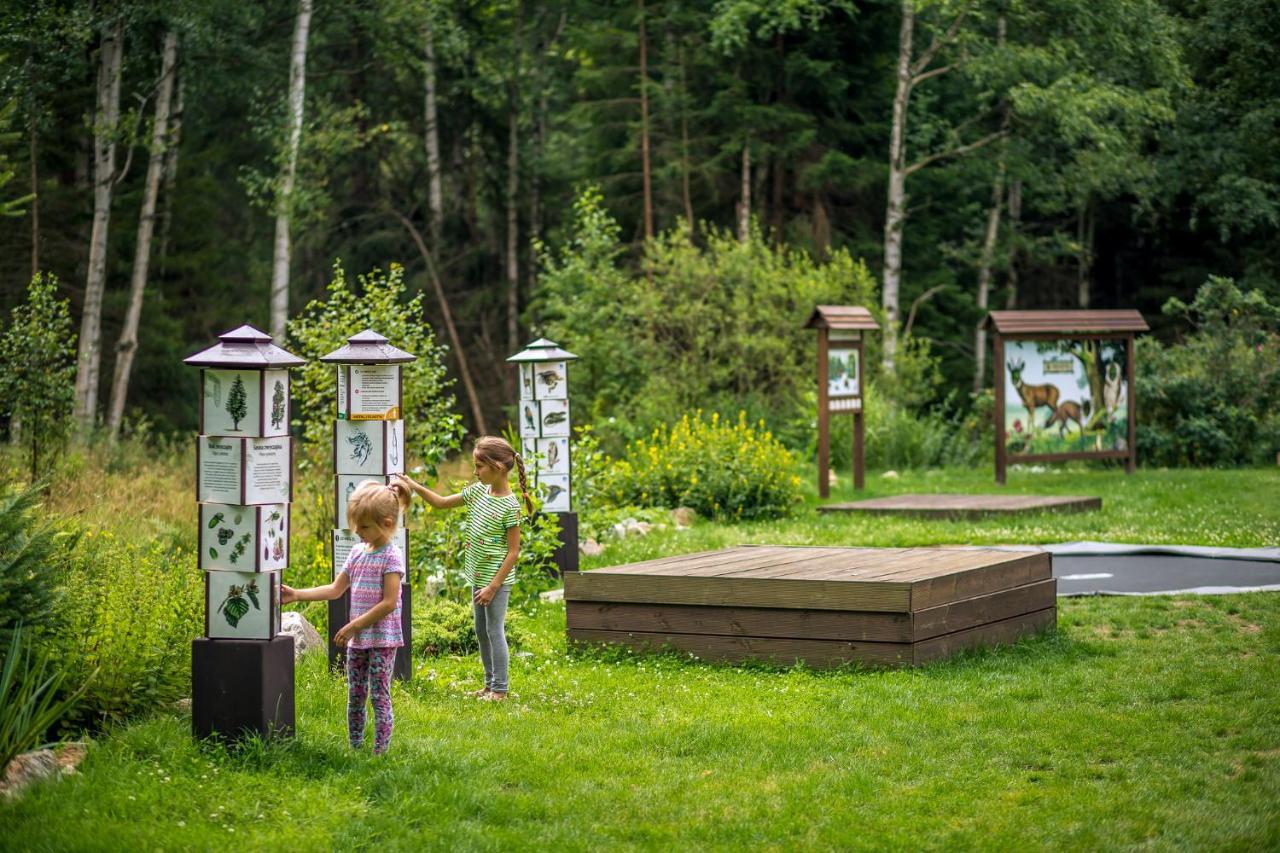 Drewniana Roza Domki Karkonosze Piechowice  Exteriér fotografie