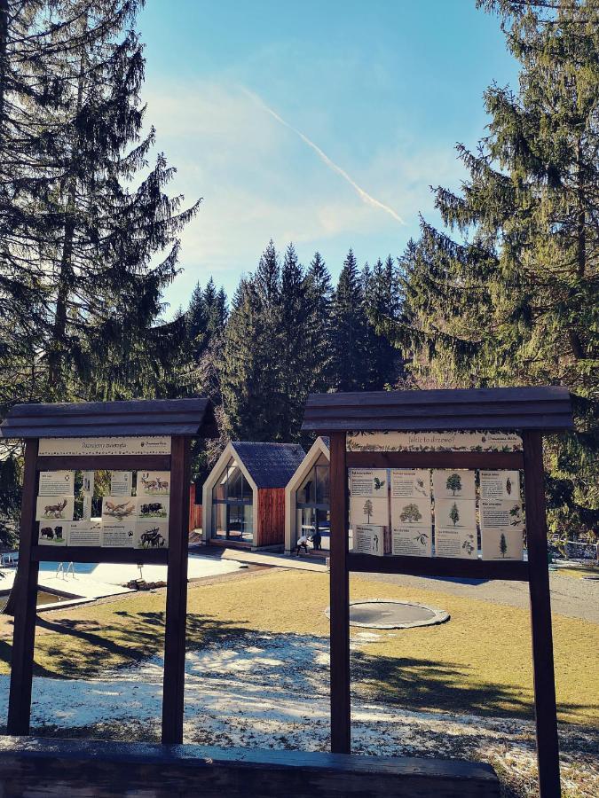 Drewniana Roza Domki Karkonosze Piechowice  Exteriér fotografie